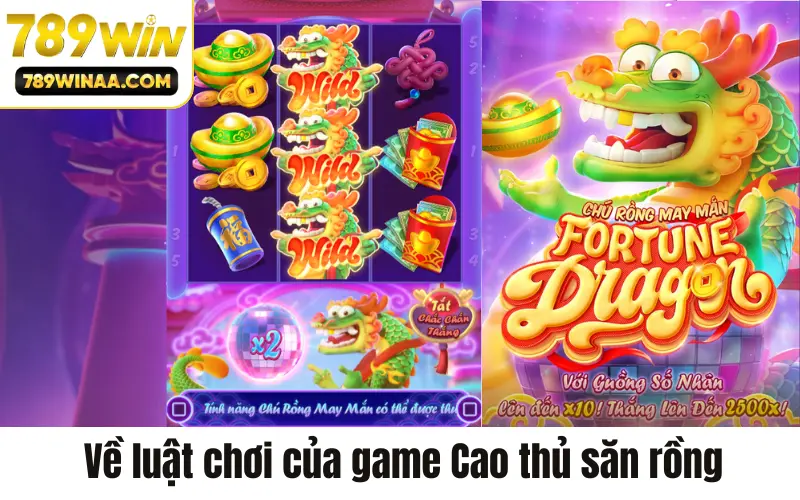 Về luật chơi của game Cao thủ săn rồng